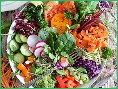 Daun Insulin - Gymnema