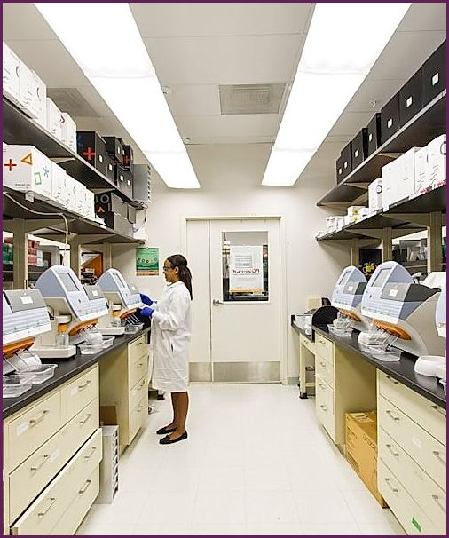 Penelitian laboratorium herbal